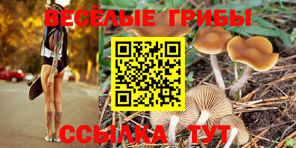 Галлюциногенные грибы Psilocybine cubensis  Вход с VPN  Псилоцибиновые грибы MAGIC MUSHROOMS  где продают наркотики  Назарово 
